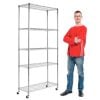 Chrome wire shelving unit